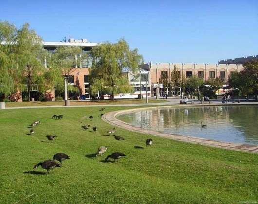 约克大学.jpg
