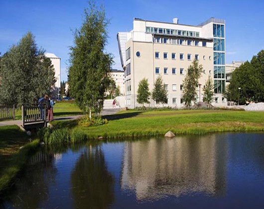 萨里大学.jpg