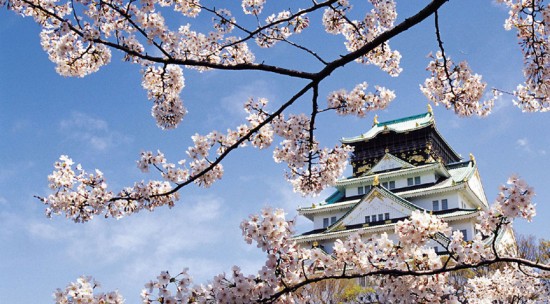 日本留学